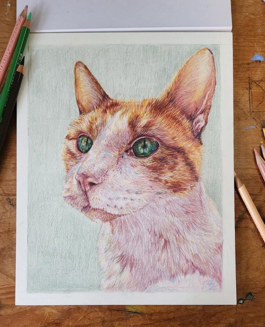 Custom Pet Portrait - Hand Drawn Colored Pencil Dog Cat Animal Stylized Portrait