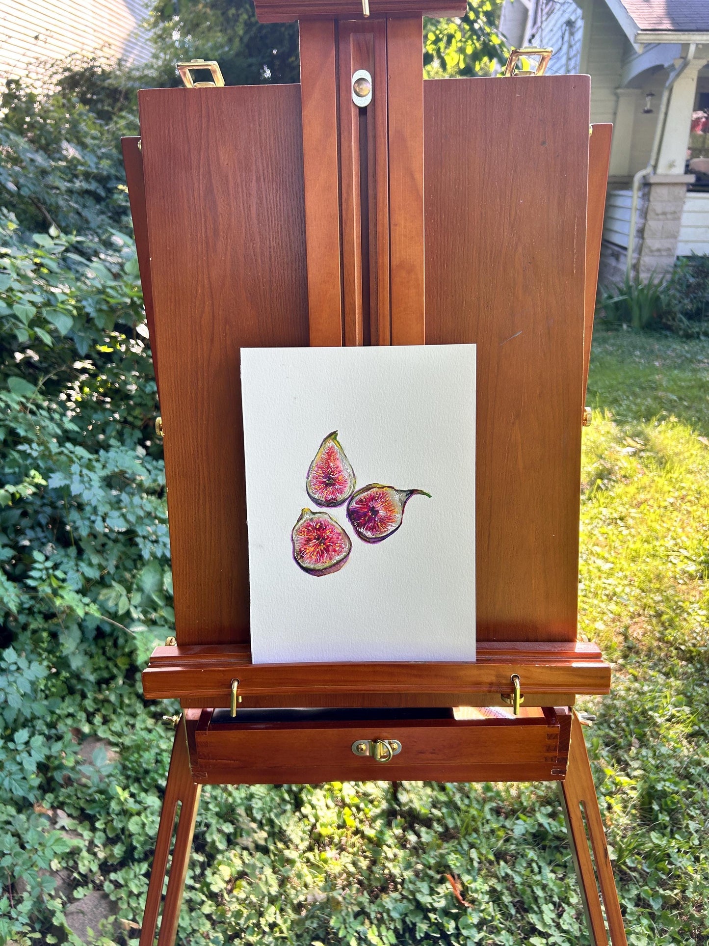“Figs Pt. 1” Art Print: Hand-Drawn Colored Pencil Botanical Illustration