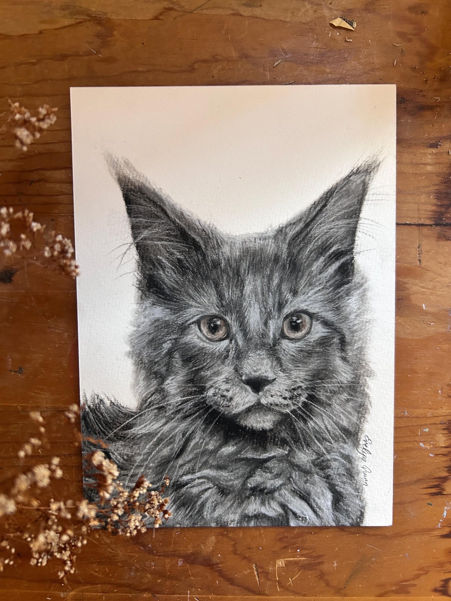 Charcoal Hand Drawn Custom Pet Portrait: Dog, Cat, Bird Vintage Classic Portrait