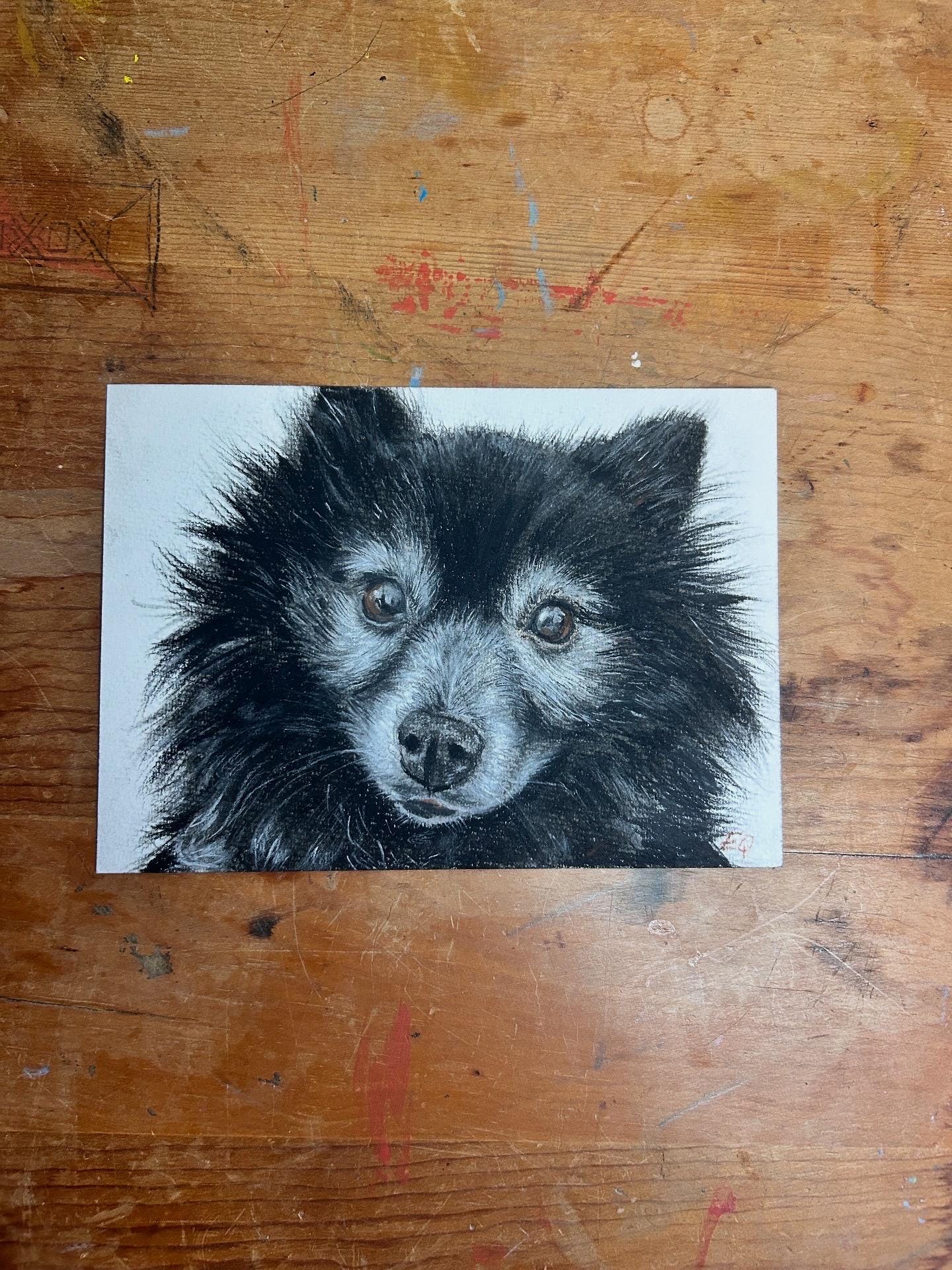 Charcoal Hand Drawn Custom Pet Portrait: Dog, Cat, Bird Vintage Classic Portrait