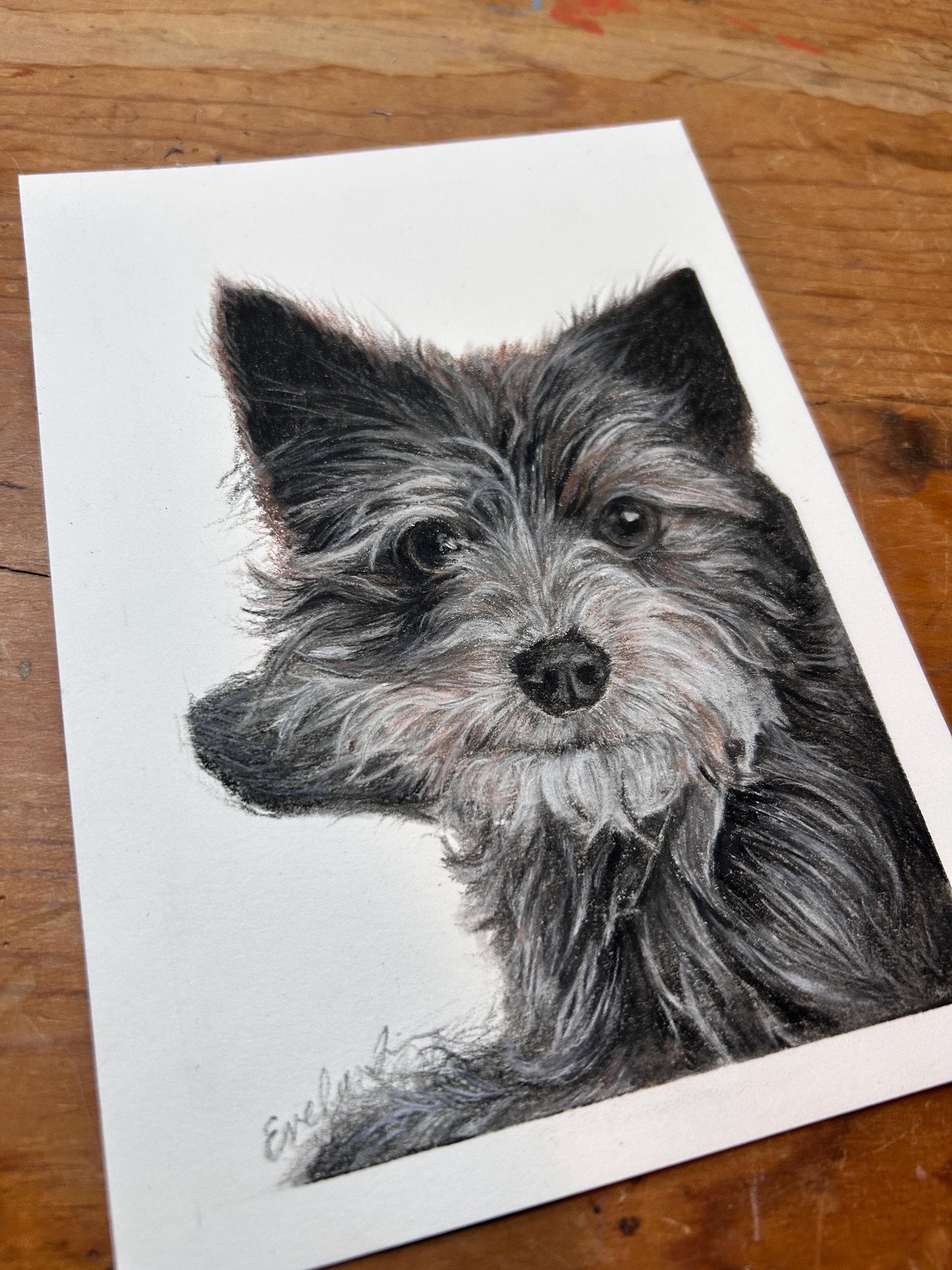 Charcoal Hand Drawn Custom Pet Portrait: Dog, Cat, Bird Vintage Classic Portrait
