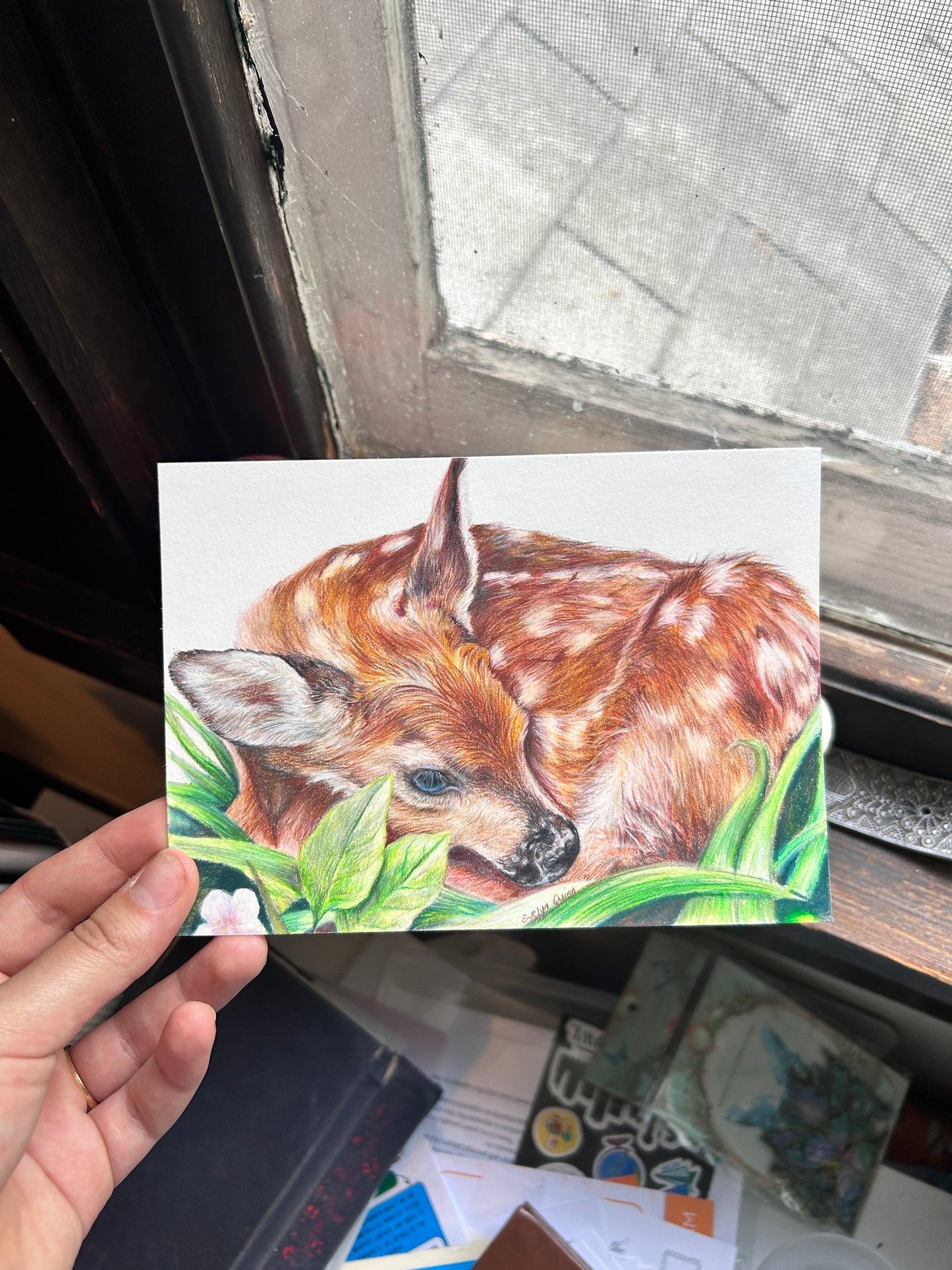 Cozy Critters Club: Monthly Animal Art Prints, Postcards, and More