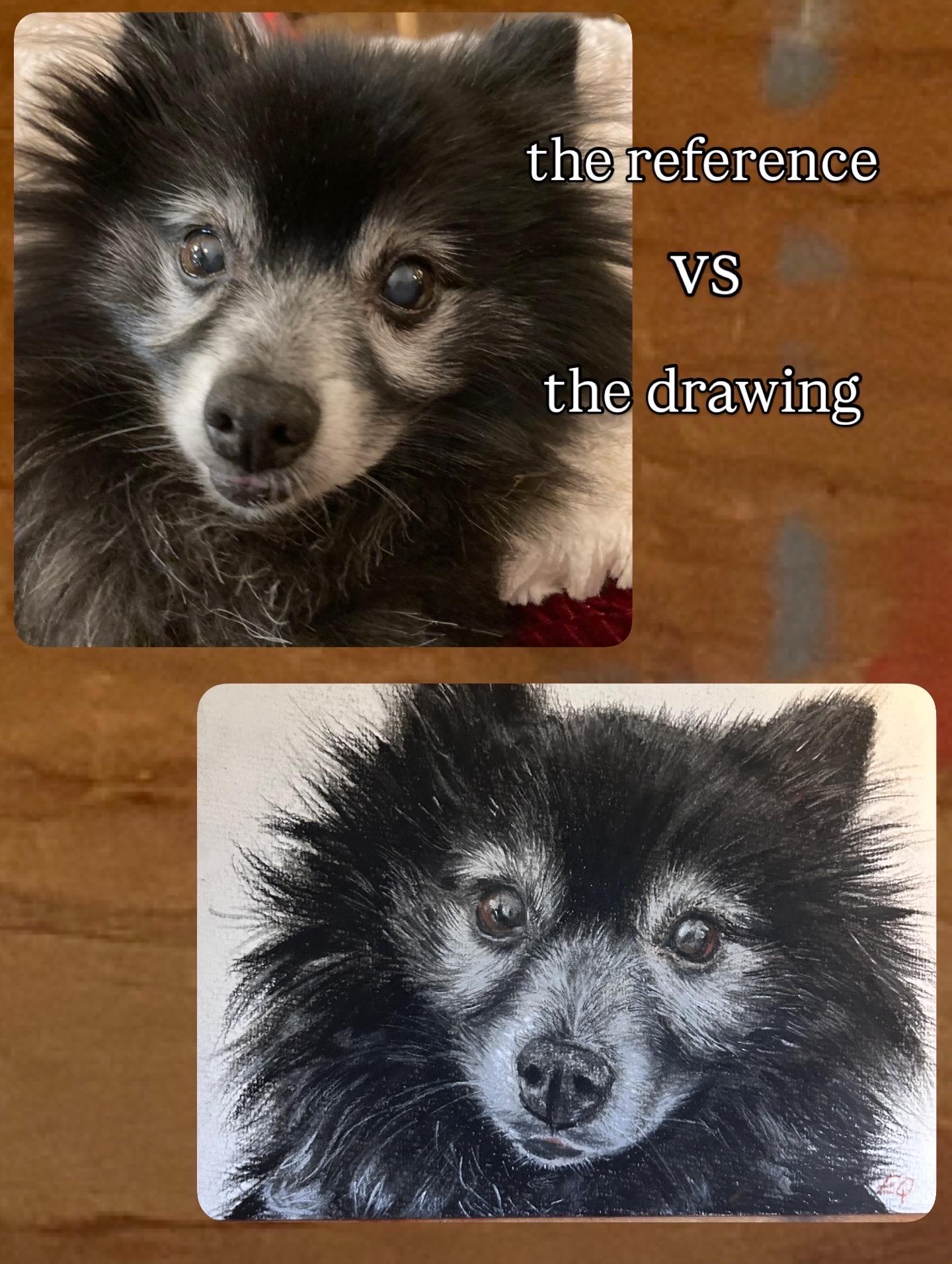 Charcoal Hand Drawn Custom Pet Portrait: Dog, Cat, Bird Vintage Classic Portrait