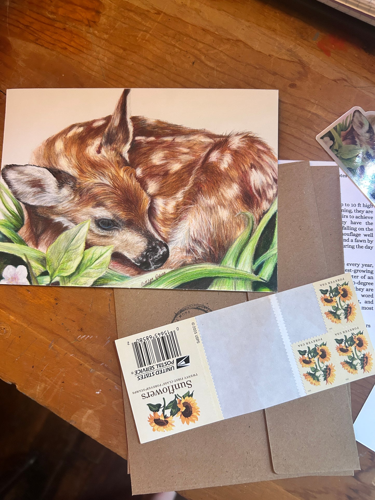 Gift 6 months of the Cozy Critters Club!