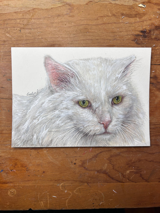 Custom Pet Portrait - Hand Drawn Colored Pencil Dog Cat Animal Stylized Portrait