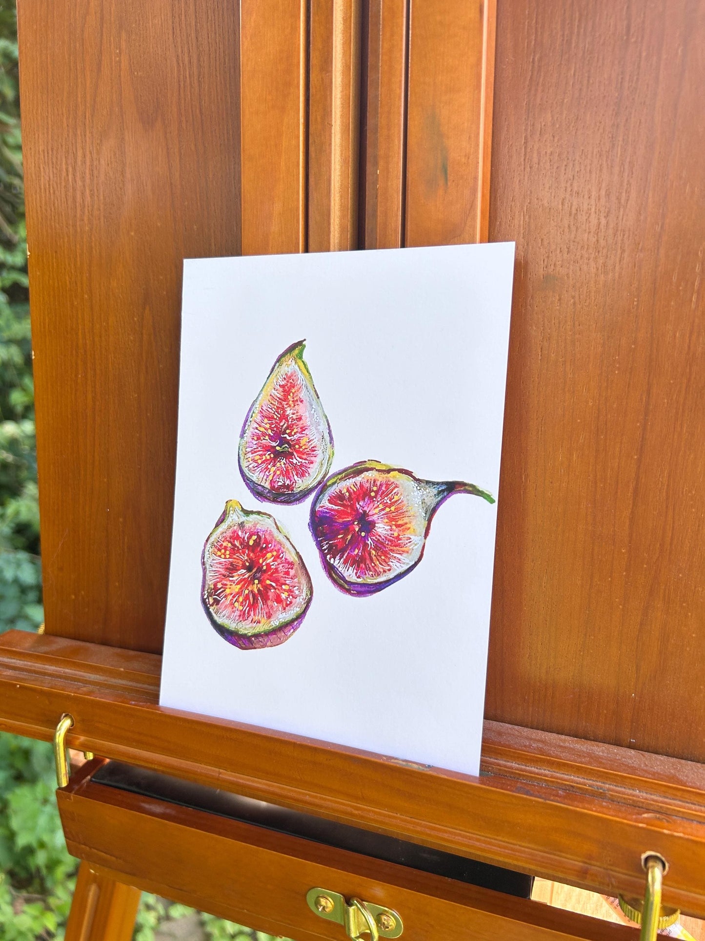 “Figs Pt. 1” Art Print: Hand-Drawn Colored Pencil Botanical Illustration