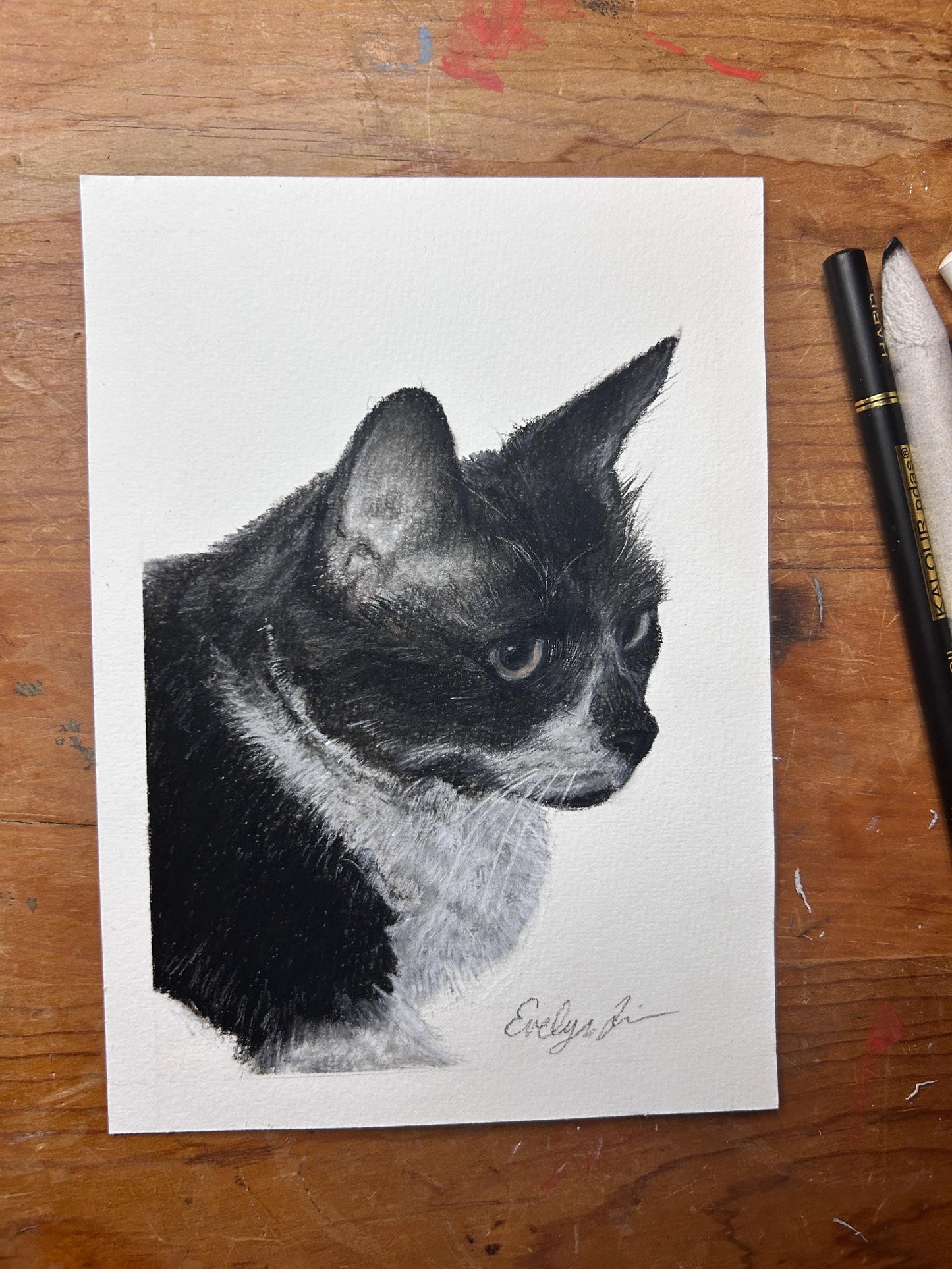 Charcoal Hand Drawn Custom Pet Portrait: Dog, Cat, Bird Vintage Classic Portrait