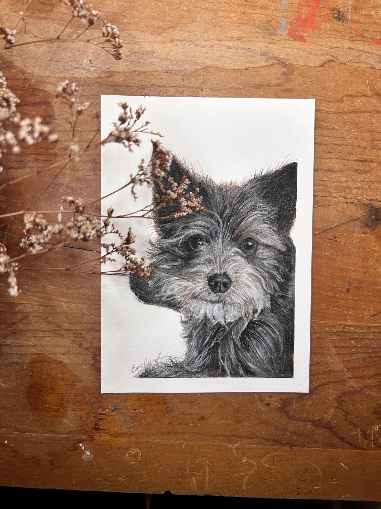 Charcoal Hand Drawn Custom Pet Portrait: Dog, Cat, Bird Vintage Classic Portrait